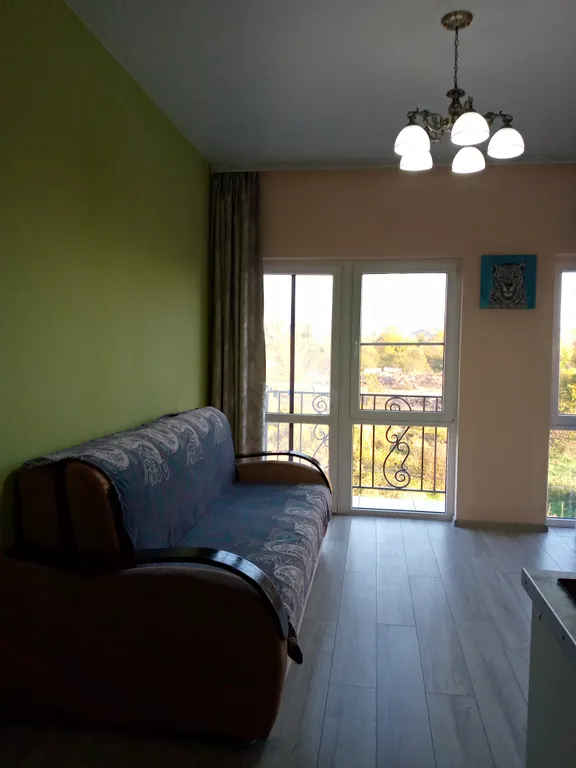 Студия с видом на горы