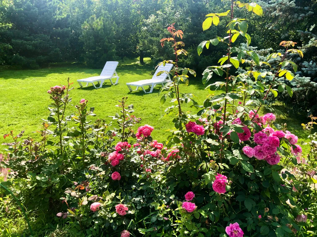 Дом с бассейном и сауной в 5 минутах на автомобиле до Коломенского Кремля