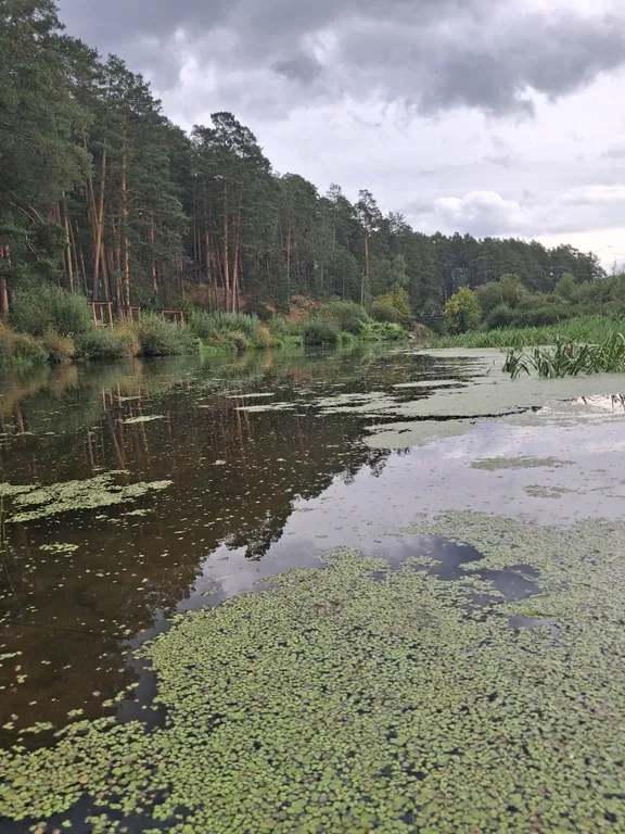 Сказочный А-фрейм