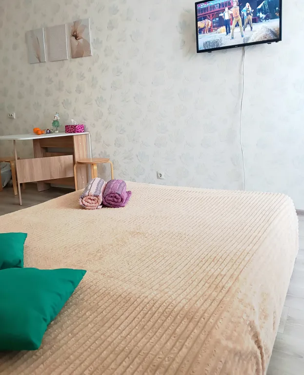 Комфортная студия, Аэропорт, Экспоцентр, МНТК