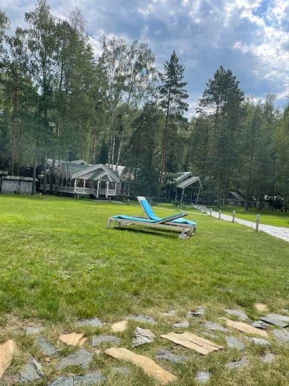 Тихий Барн в лесу