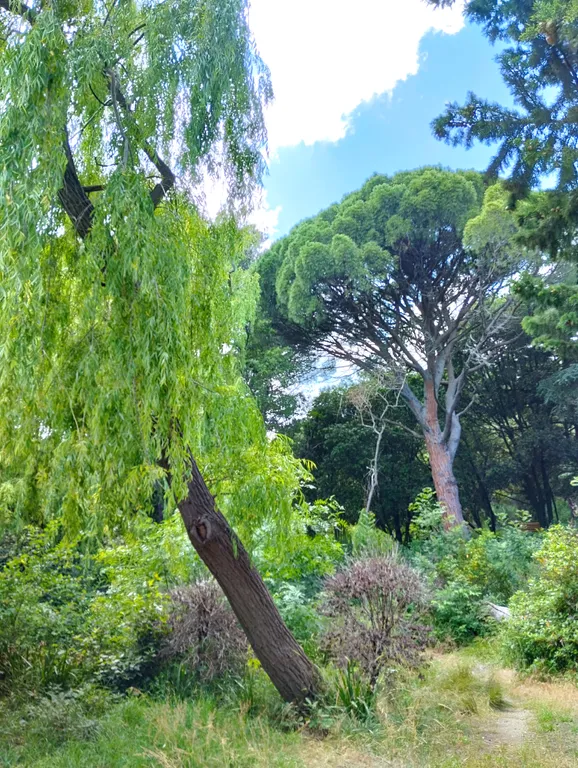 Самое уютное местечко на юбк ялта