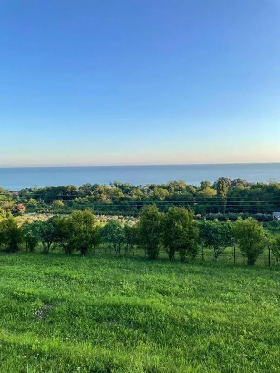 Апартаменты с видом на море