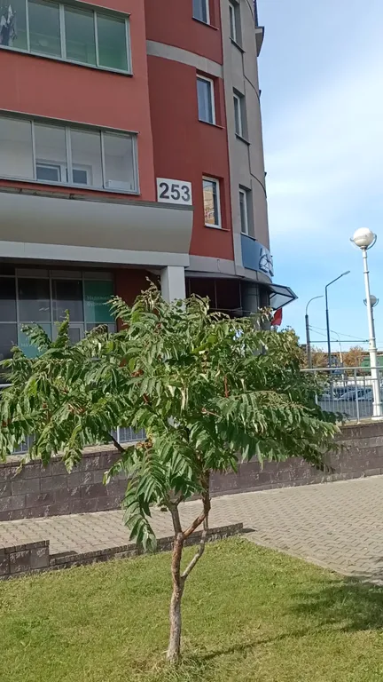 Уютная квартира в 15 минутах до Брестской крепости