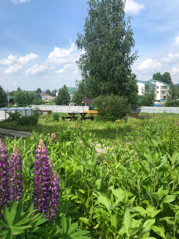 Комната с видом на лес и горы