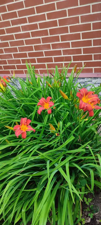 Весь первый уютный этаж с видом на природу