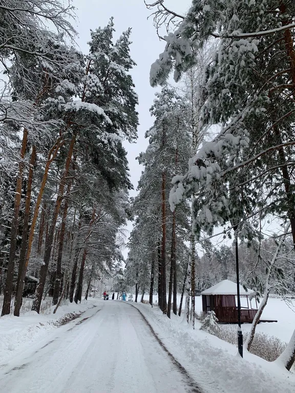 Большой коттедж с сауной в загородном комплексе отдыха бисерово