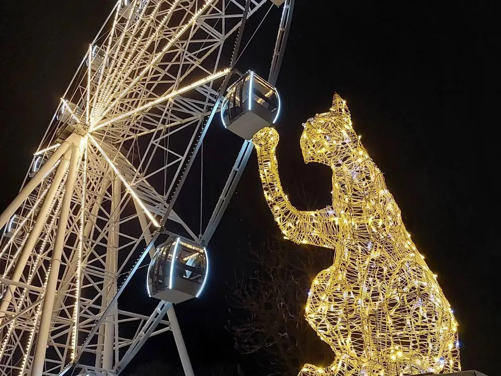 Квартира Апартаменты 1-комнатные с видом на море, 3 кровати — Зеленоградск