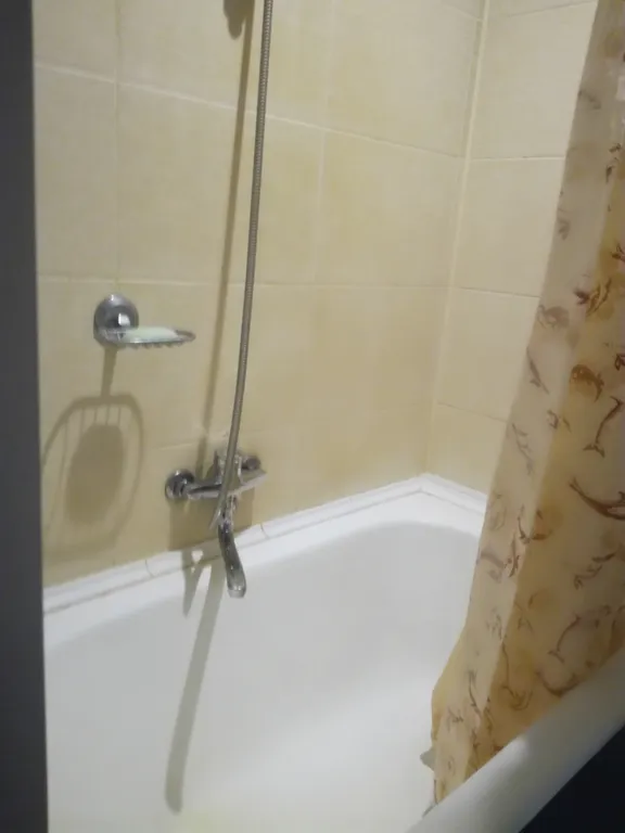 Квартира Квартира рядом с НИИ Турнера в окружении дворцов — Пушкин