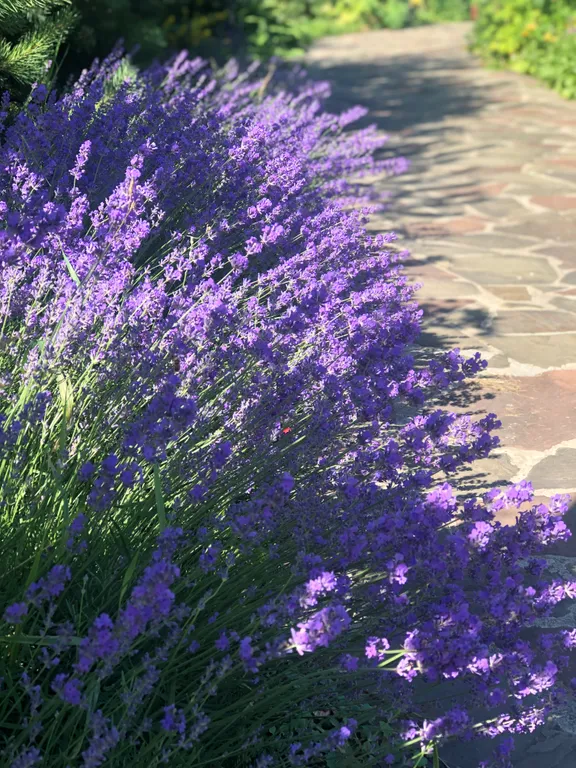 Гостевой дом в заповедной зоне Поленово