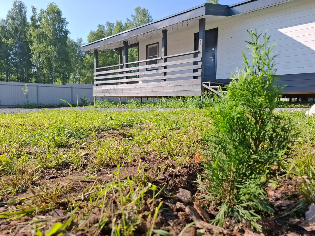 Дом в лесу с большой террасой