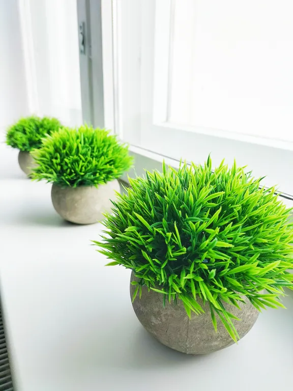 Уютная квартира с видом на берёзовую рощу