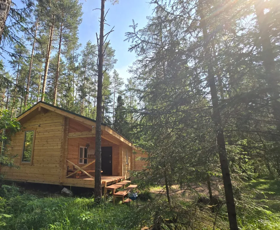 Дом в глухом лесу у реки до 6-ти человек