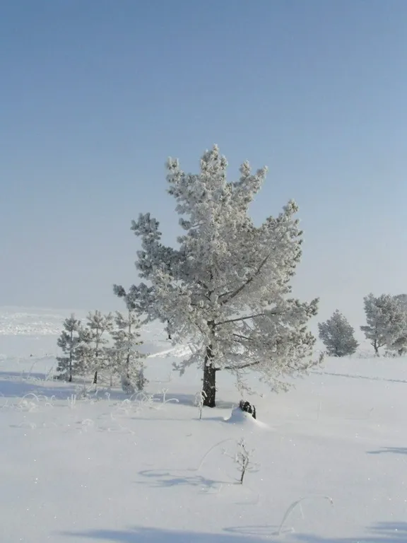 Дачка на Ладожском озере