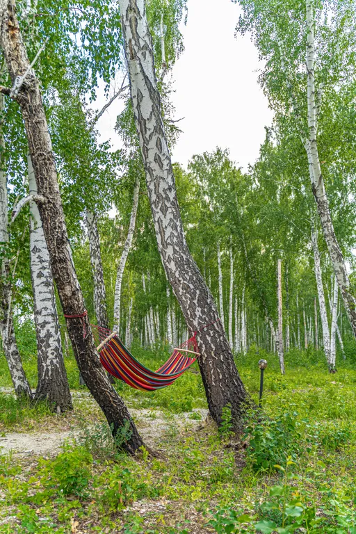 Уютный барн хаус с бассейном, баней и купелью ( барн 1)