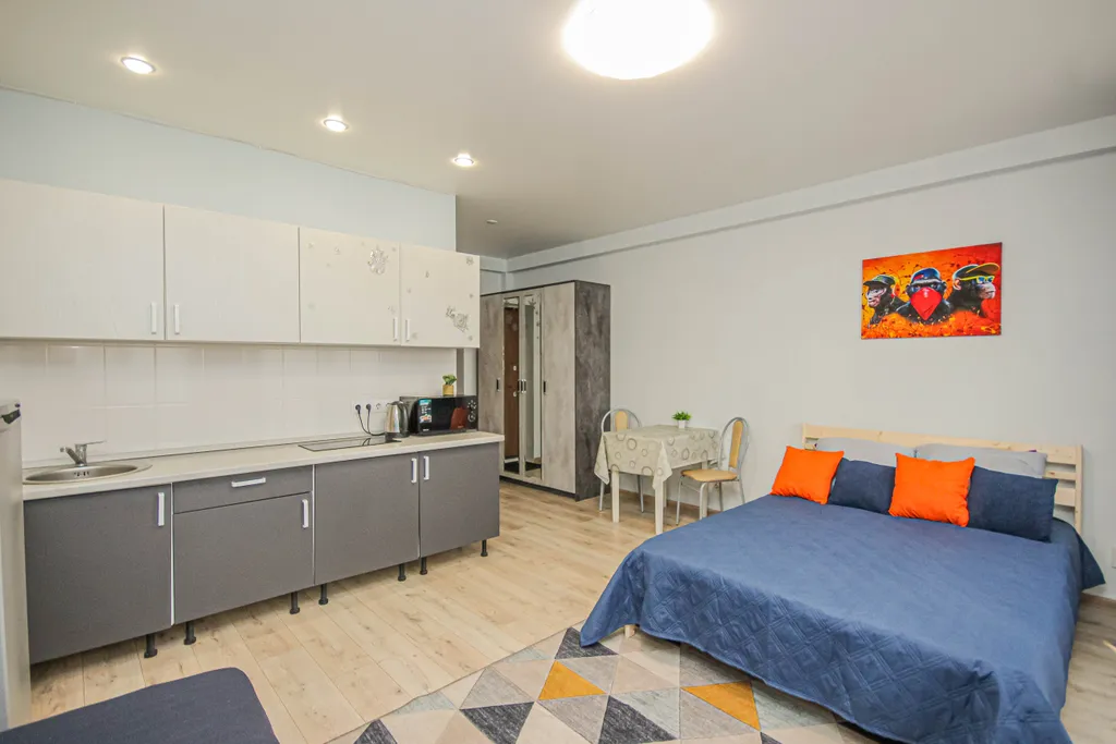 Студия в Октябрьском районе