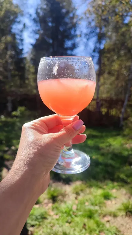 Бурундуки - уютный дом на Байкале на границе заповедника