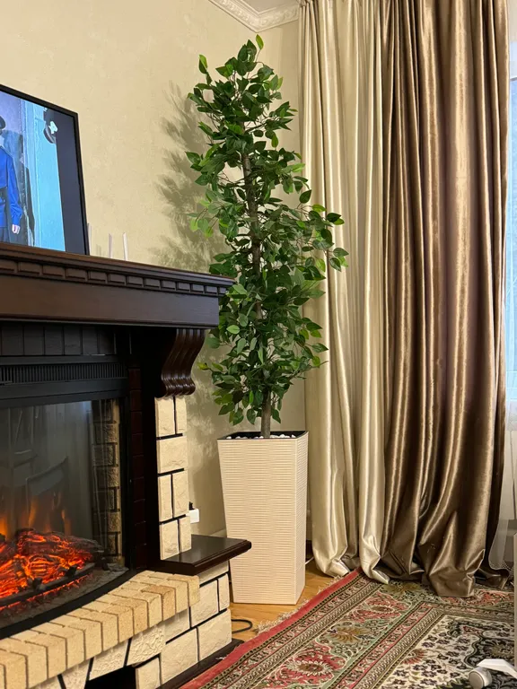 3-комнатный Дом