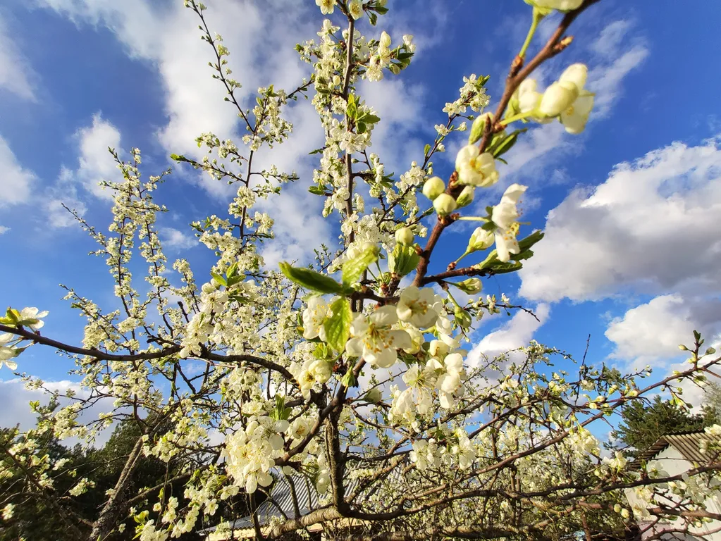 Дом в окружении леса, озёр и рек, около турбазы Алоль