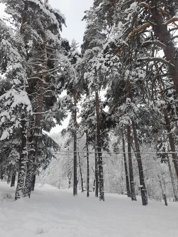 Шале Mirgor.almadi с прекрасным видом на горы