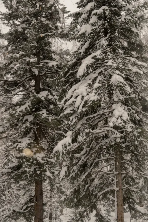 Атмосферный дом на горе в Шерегеше
