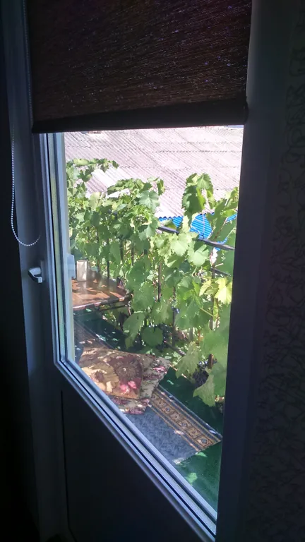 Квартира Комната — Судак