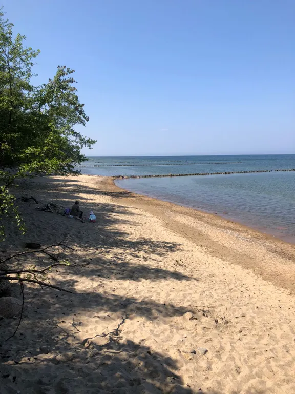 Квартира Апартаменты в двух минутах от моря — Светлогорск