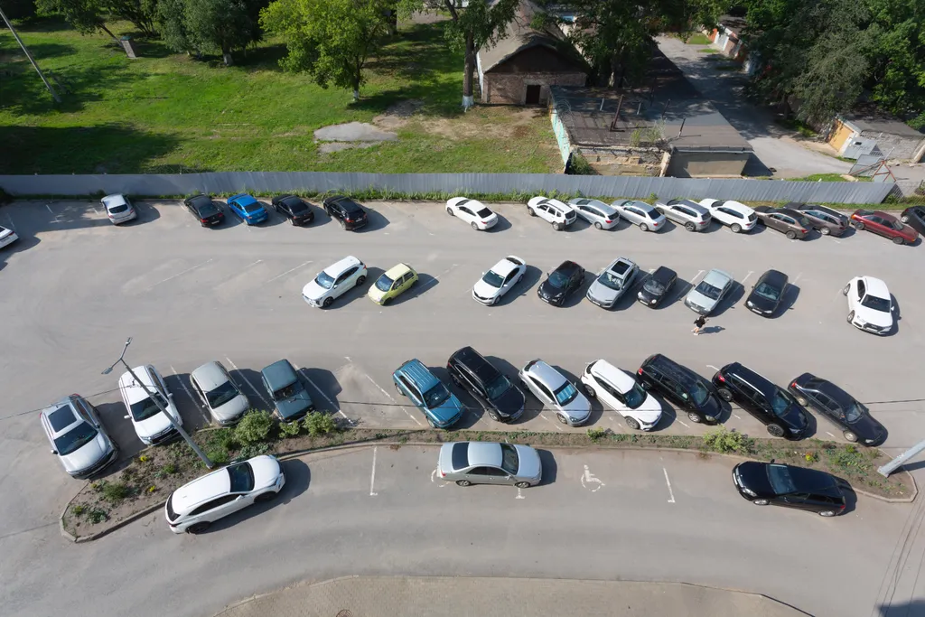 Магнолия — нежность и спокойствие