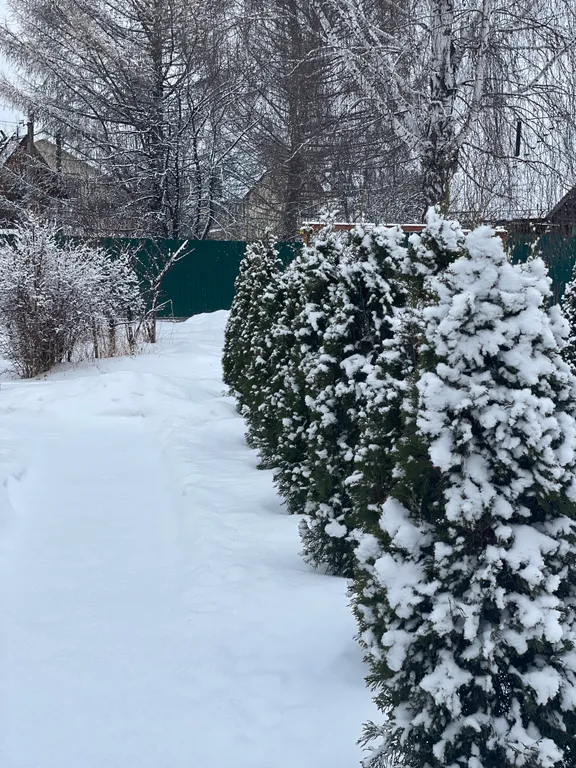 Уютный дом с баней