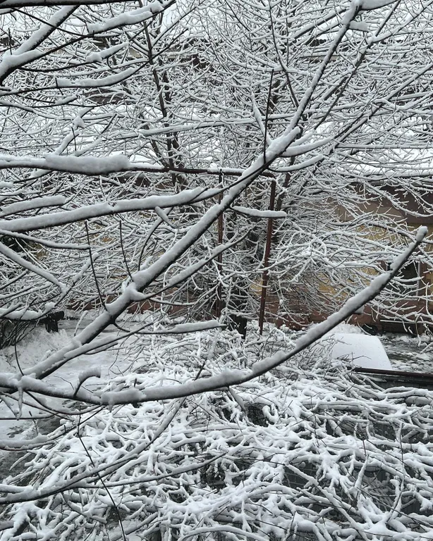 Гостиница с садом и баней