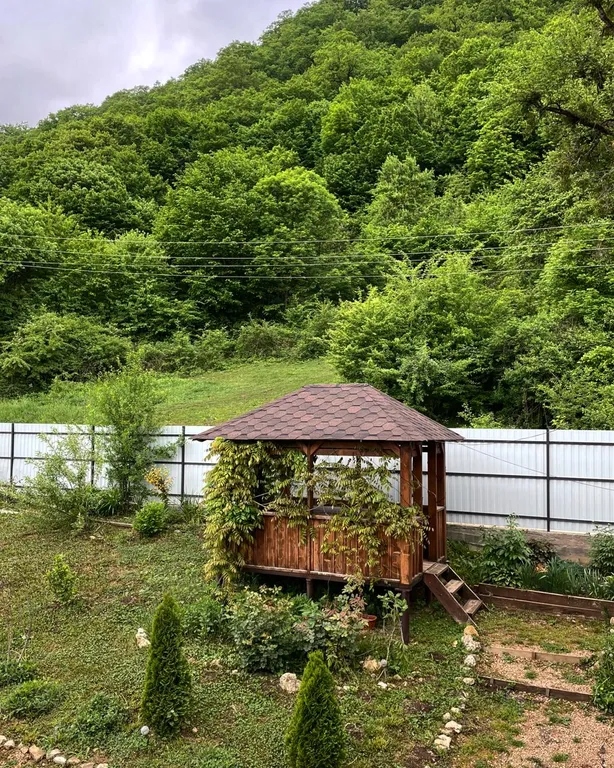 Домик у леса