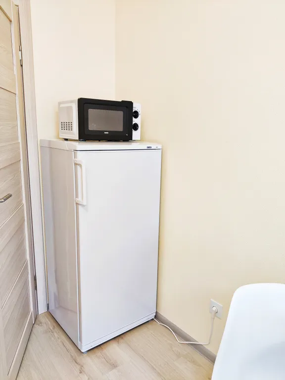 Квартира Квартира Студия у парка на Ломоносовской — Санкт-Петербург