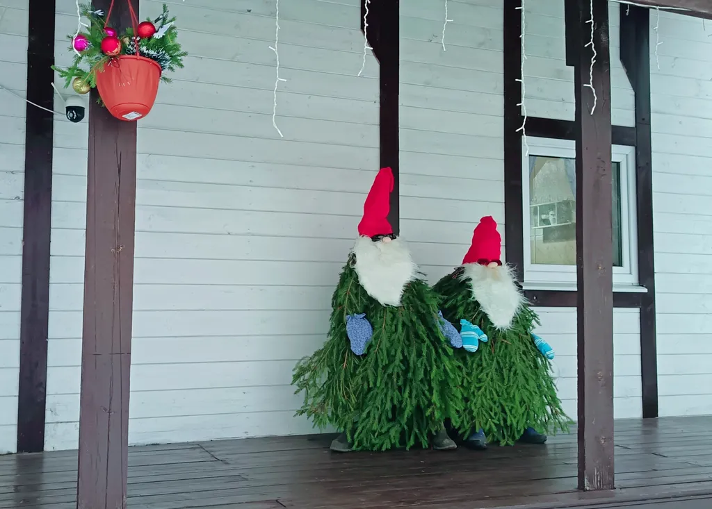 Просторный дом между Вотчиной Деда Мороза и Великим Устюгом