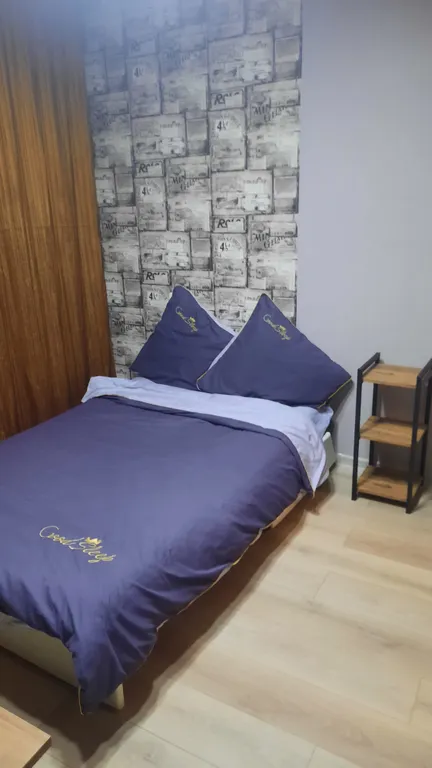 Уютная студия не далеко отцентра