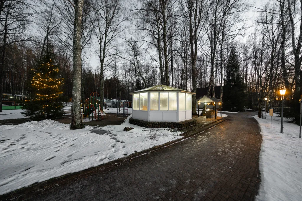 Уютные апартаменты с видом на лес