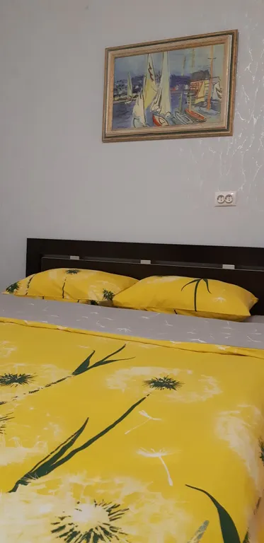 Квартира 1-комнатная Квартира — Пушкин