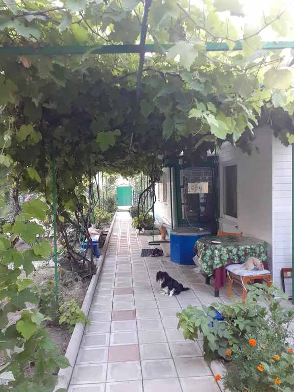 Коттедж Дом для отдыха — аренда посуточно в Должанская