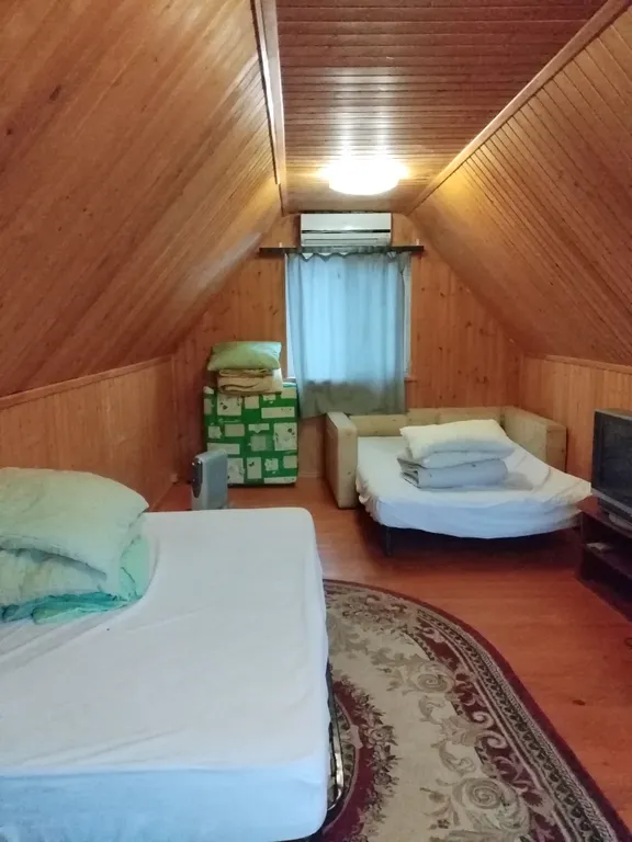 Выход из суеты - не дача Бобёр и Соловьи