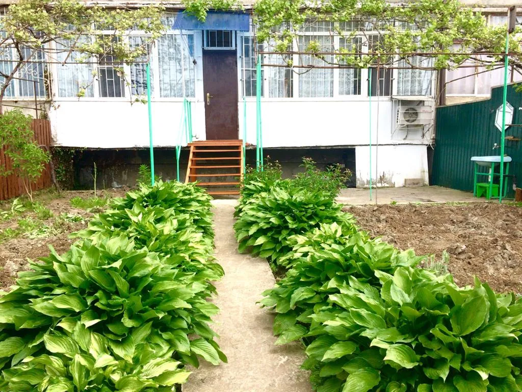 2-комнатная Квартира — аренда посуточно в Цитрусовый