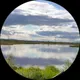 Коля