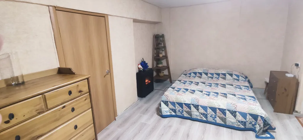 С Толстым у парка