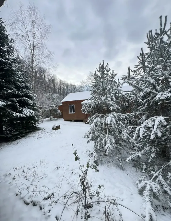 Квартира Жилая комната с двумя односпальными кроватями — Апшеронск