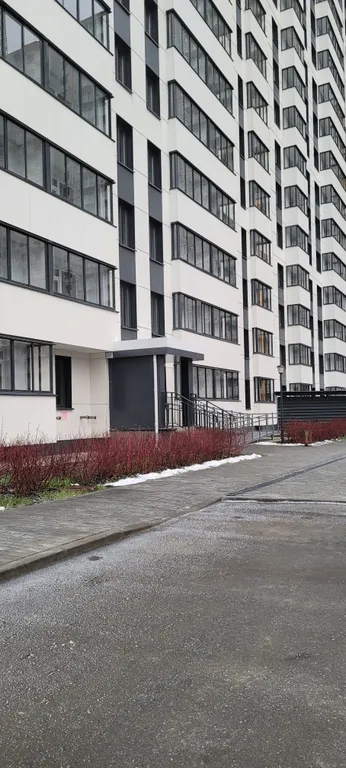 Просторная студия со свежим ремонтом и видом на лес