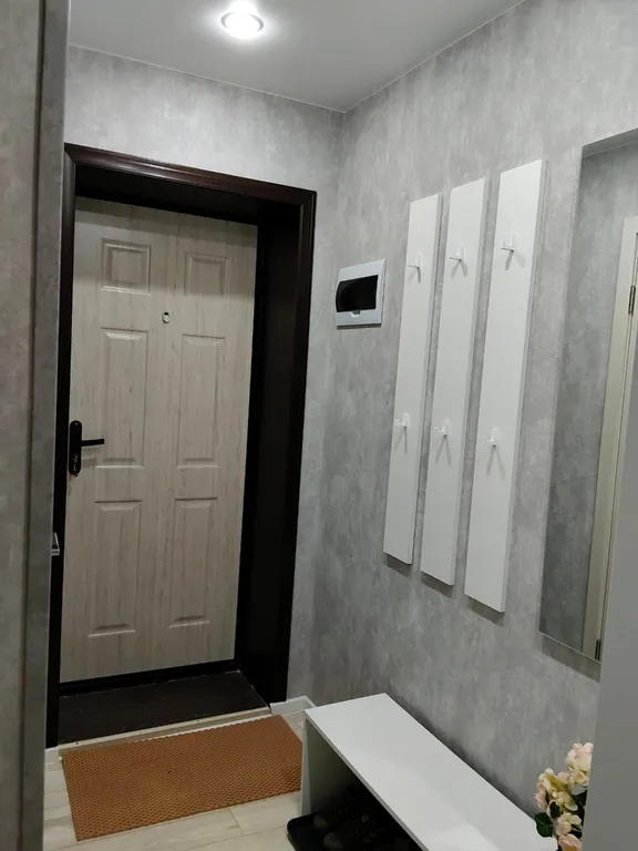 Уютная однокомнатная квартира