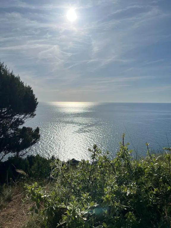 Квартира Уютные апартаменты с потрясающим видом на море — Севастополь