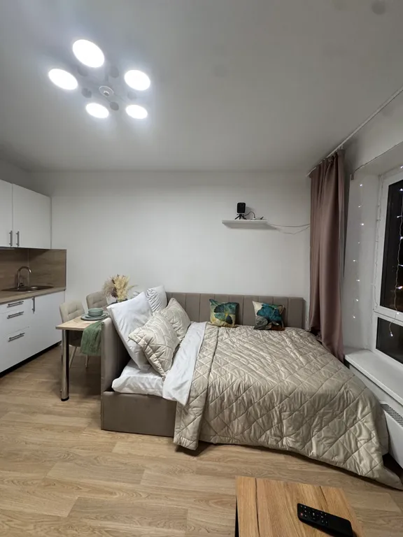 Студия с проектором около аэропорта Внуково