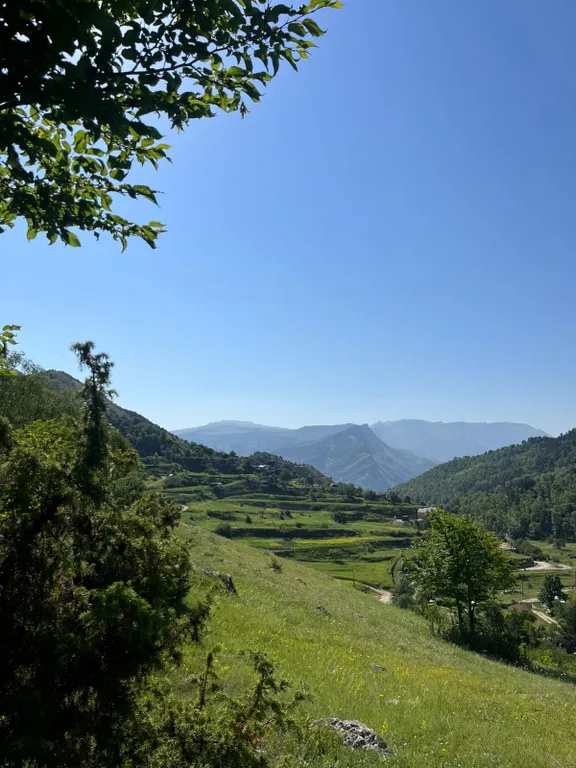 Деревянный дом