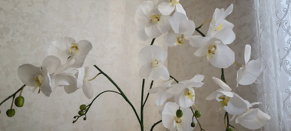 Квартира 2-комнатная квартира "Четыре апельсина" — Светлогорск