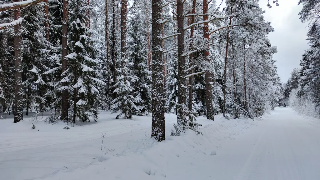 Коттедж Дом у озера с баней, чаном и детской площадкой с батутом. — Ланино