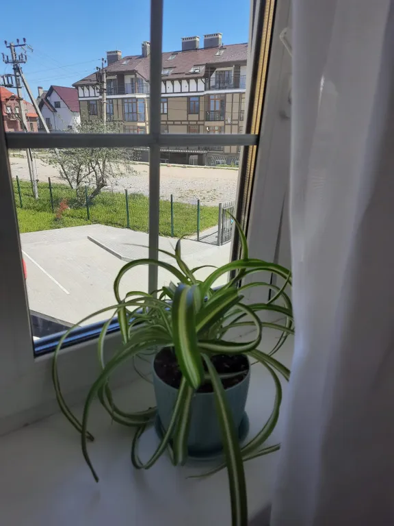 Аппартаменты рядом с морем